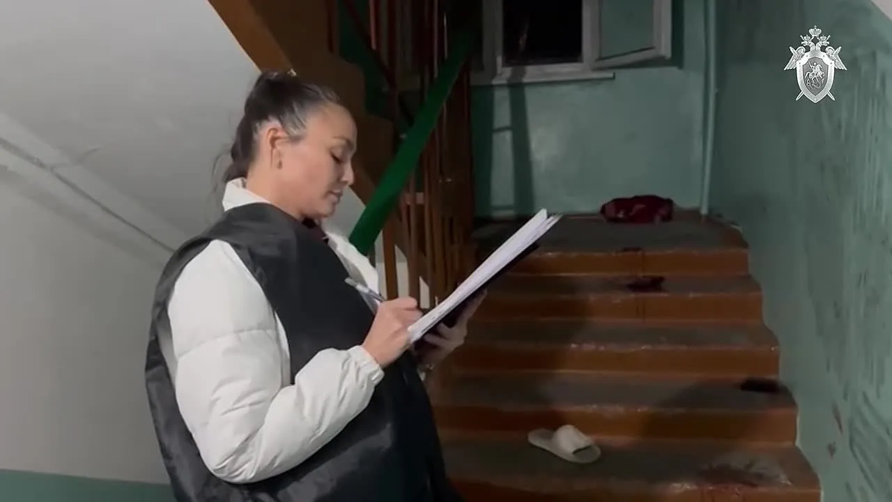 Нажми и смотри Нажми и смотри