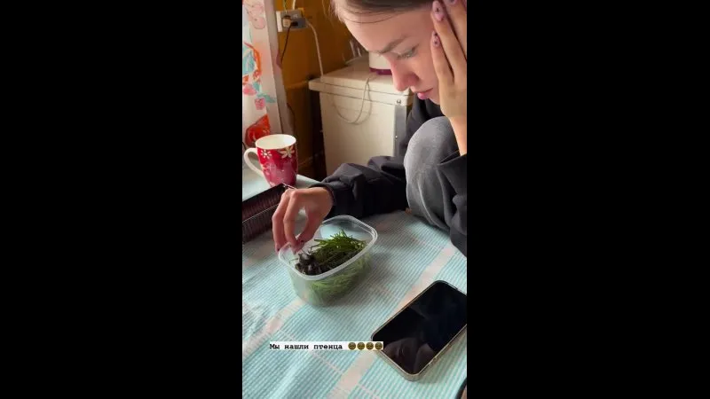Нажми и смотри Нажми и смотри