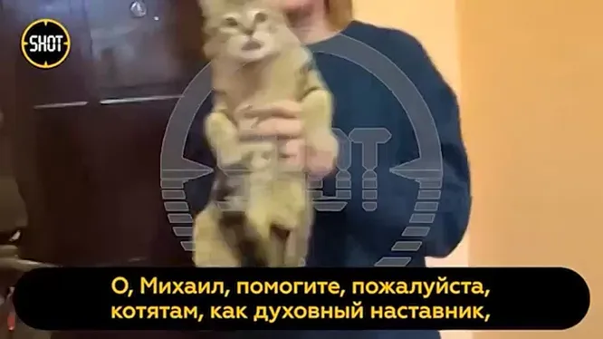 Нажми и смотри Нажми и смотри