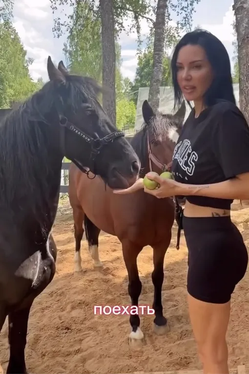 Оксана Самойлова с лошадьми