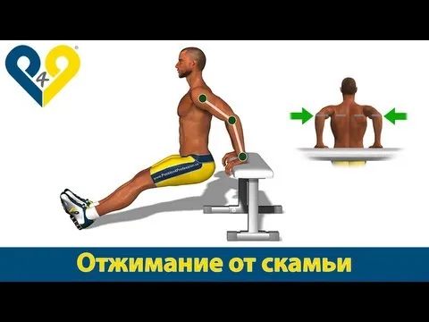 Нажми и смотри Нажми и смотри