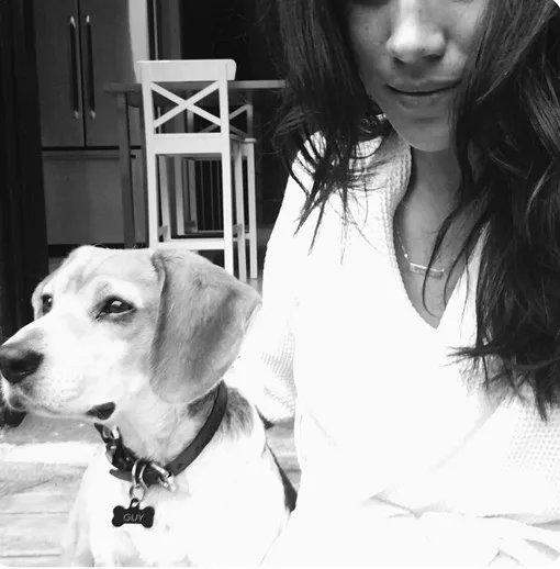 Меган Маркл и ее пес Гай