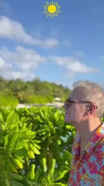 Нажми и смотри