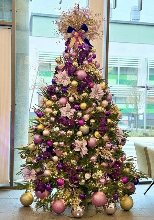 Дерево доставили из Вестминстерского аббатства