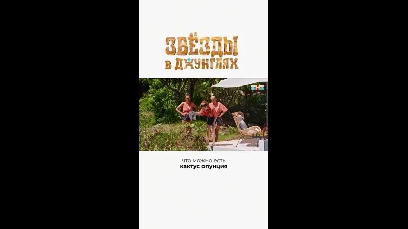 Нажми и смотри Нажми и смотри