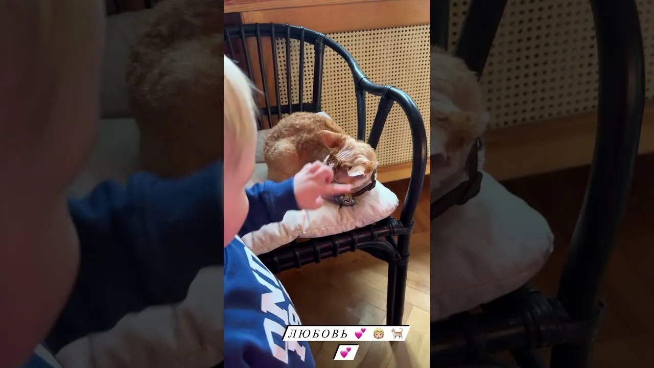 Нажми и смотри Нажми и смотри