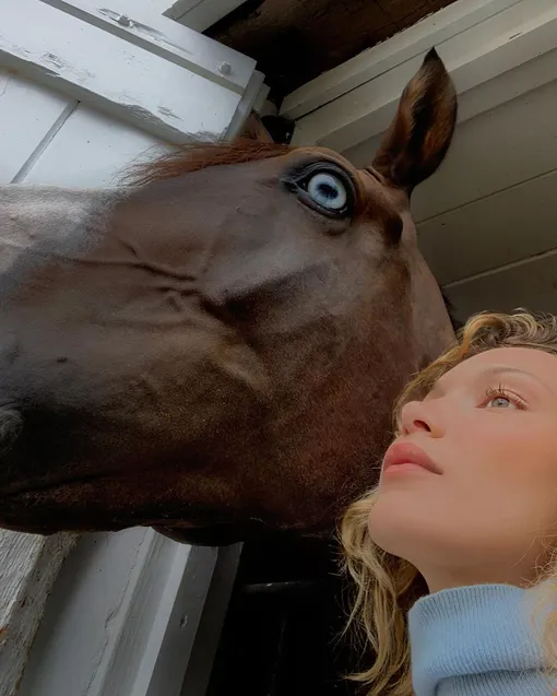 Белла Хадид с новой лошадью Белла Хадид с новой лошадью