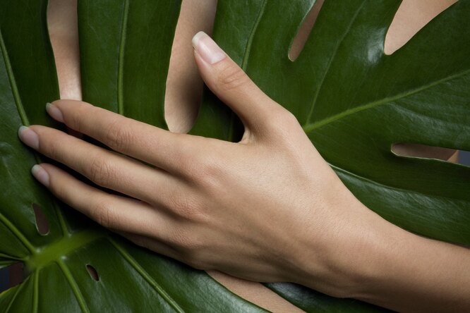 Как восстановить ногти, если грызла их много лет: 5 домашних способов с доказанным эффектом