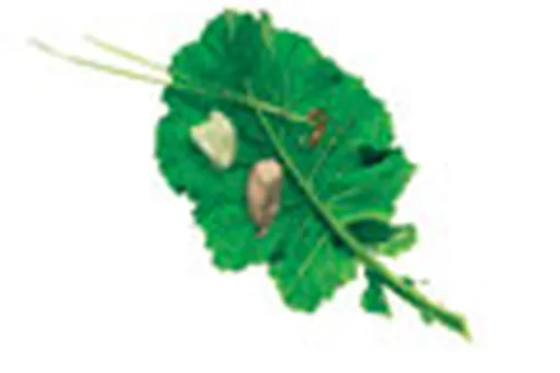 Косметика в натуре