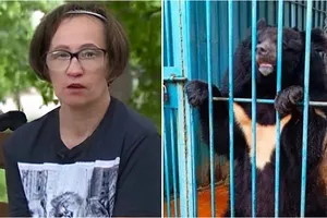 Медведь откусил руку известной дрессировщицы и зоозащитницы Веры Блищ, которой ранее ампутировали ногу Медведь откусил руку известной дрессировщицы и зоозащитницы Веры Блищ, которой ранее ампутировали ногу