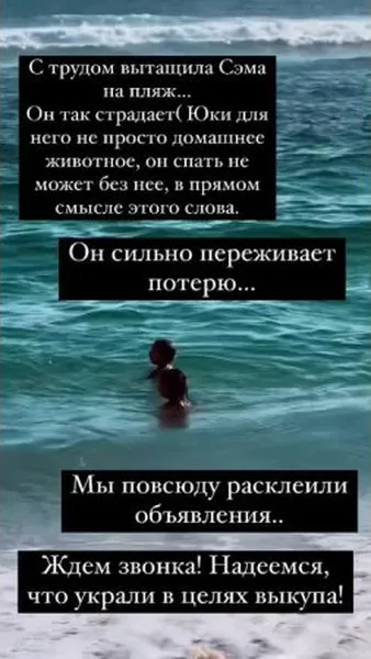 Нажми и смотри
