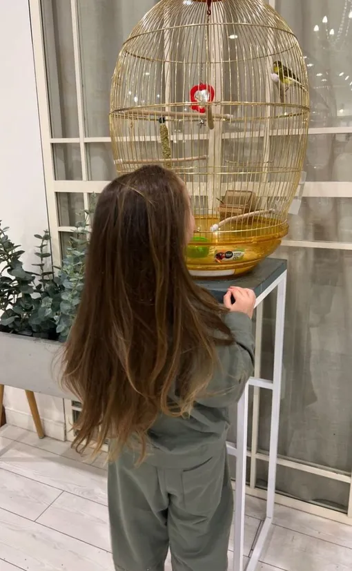 Афина позировала перед Аленой Гавриловой Афина позировала перед Аленой Гавриловой