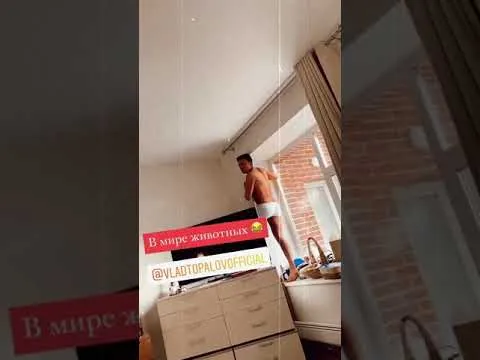 Нажми и смотри Нажми и смотри