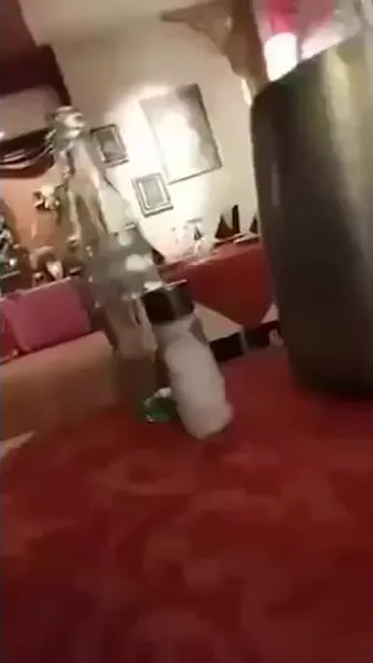 Нажми и смотри