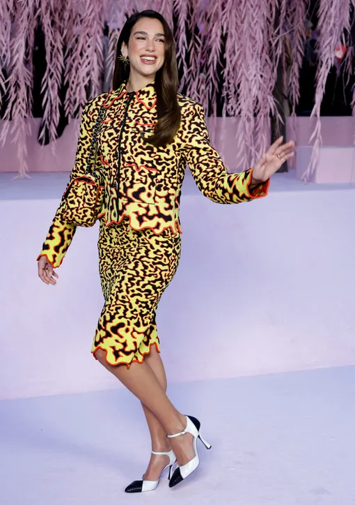 Дуа Липа в ярком образе