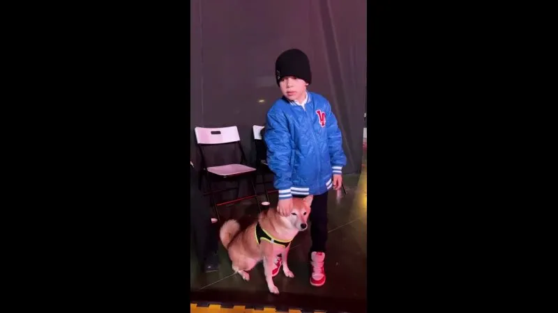 Нажми и смотри Нажми и смотри
