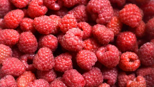самые полезные продукты рейтинг 2025 года самые полезные продукты рейтинг 2025 года