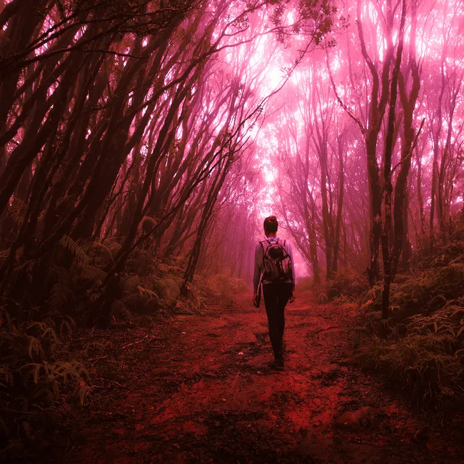 Конкурс страшных рассказов: «Интервальная тренировка», Ольга Небелицкая