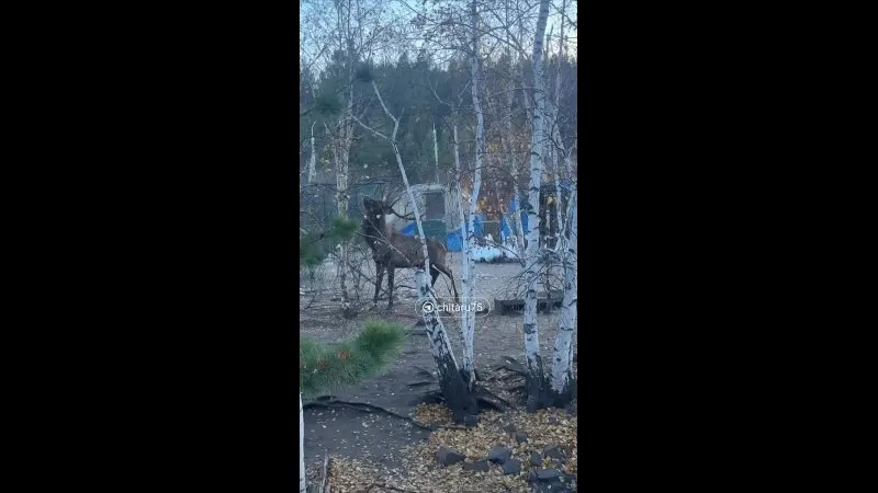 Нажми и смотри Нажми и смотри