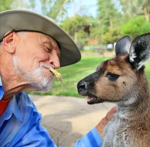 У телекомпании Николая Дроздова крупные долги