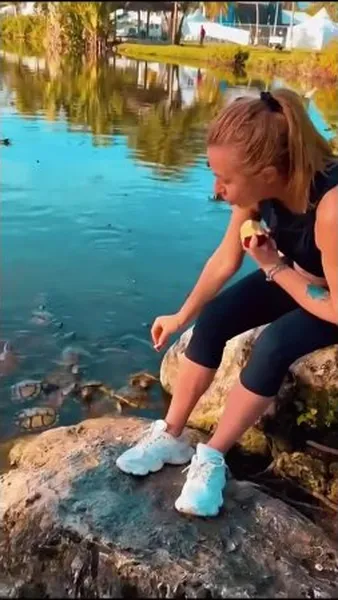 Нажми и смотри