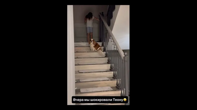Нажми и смотри Нажми и смотри