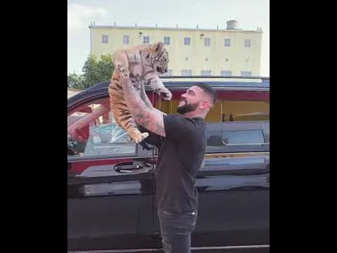 Нажми и смотри Нажми и смотри