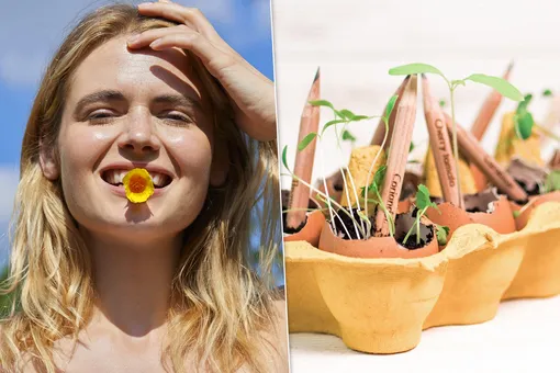Новый бум в экологии: теперь из косметики можно вырастить цветы Новый бум в экологии: теперь из косметики можно вырастить цветы