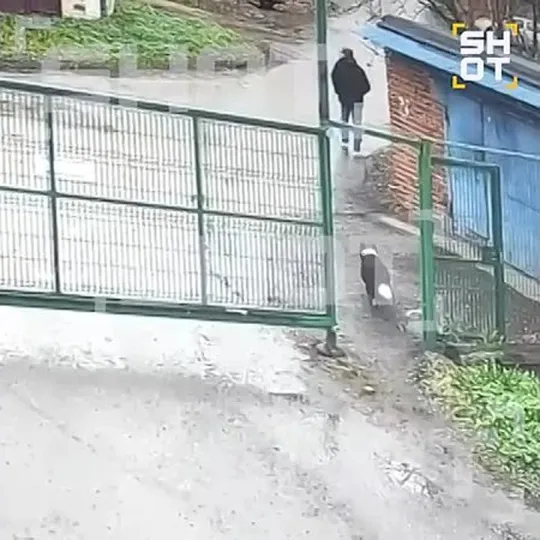 Нажми и смотри