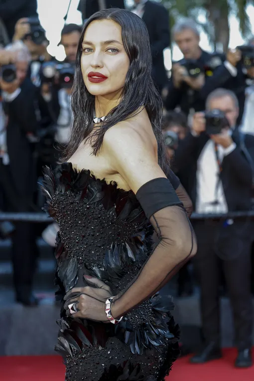 Ирина Шейк попала в «файлы Эпштейна»