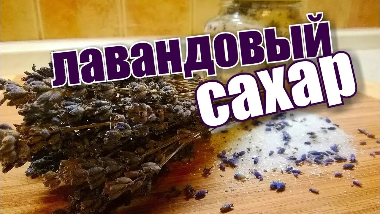 Нажми и смотри