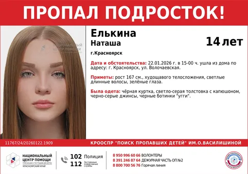 Наташа Елькина исчезла