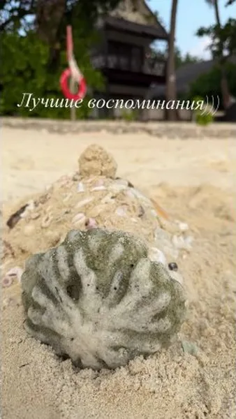 Нажми и смотри Нажми и смотри