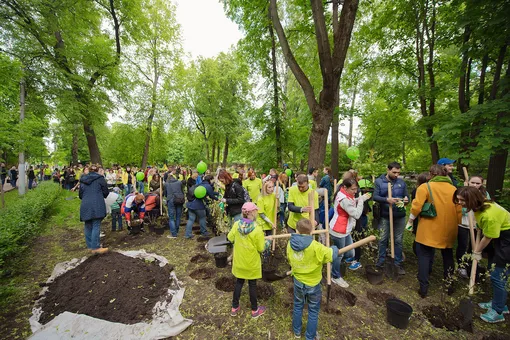 «Красота в действии»: в Москве прошел экофестиваль марки Ив Роше «Красота в действии»: в Москве прошел экофестиваль марки Ив Роше