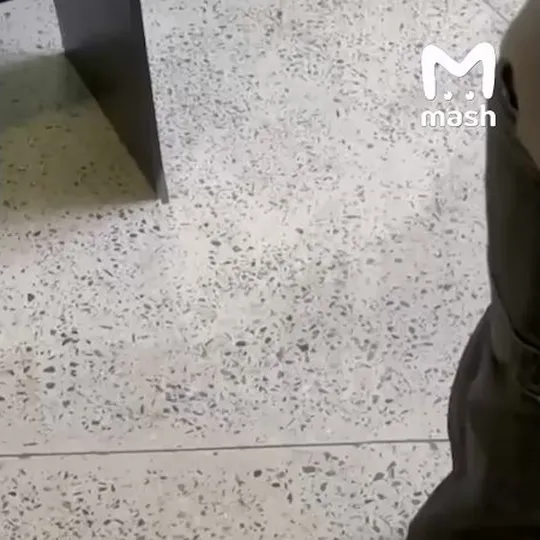 Нажми и смотри Нажми и смотри