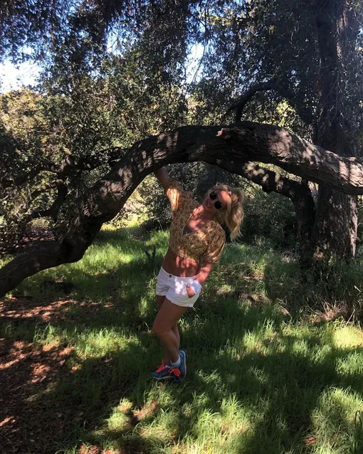 После того, как поклонники Бритни узнали всю правду о жизни и поведении младшей сестры, ее книга потеряла популярность После того, как поклонники Бритни узнали всю правду о жизни и поведении младшей сестры, ее книга потеряла популярность