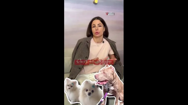 Нажми и смотри Нажми и смотри