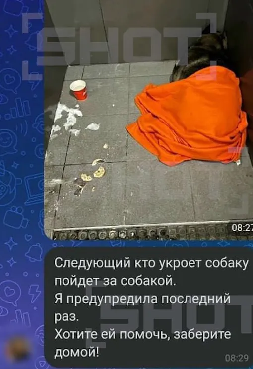 Курьера уволили за помощь собаке Курьера уволили за помощь собаке