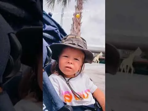 Нажми и смотри