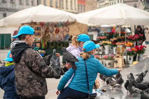 Ученые раскрыли необычную особенность птиц