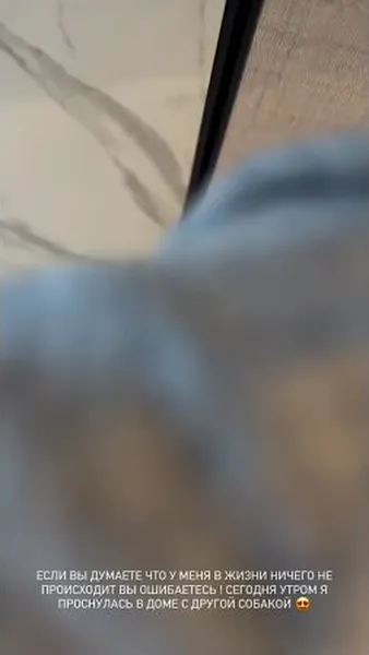 Нажми и смотри