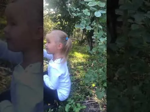 Нажми и смотри
