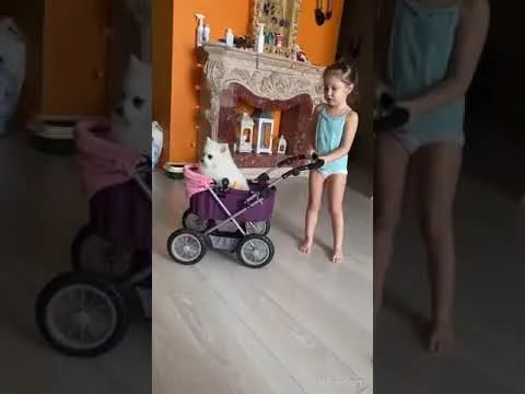 Нажми и смотри