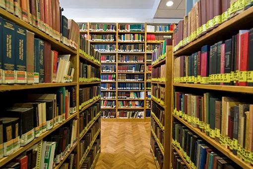 В Москве появятся ночные библиотеки В Москве появятся ночные библиотеки