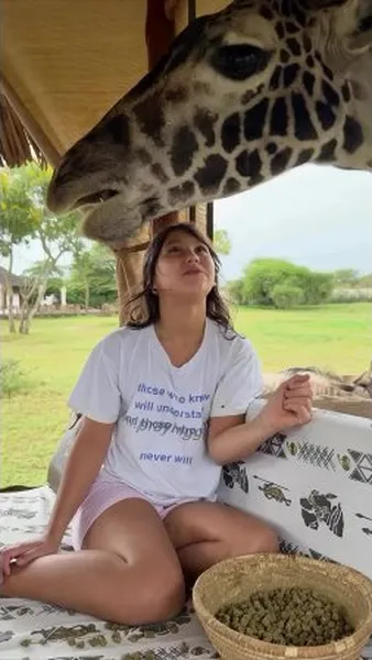 Нажми и смотри Нажми и смотри