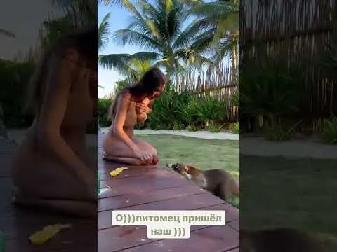 Нажми и смотри Нажми и смотри