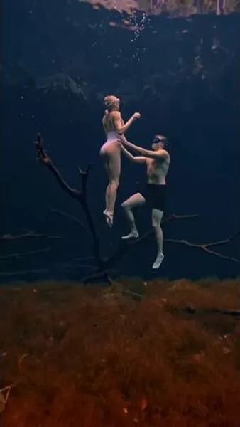 Нажми и смотри Нажми и смотри