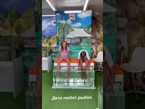 Нажми и смотри Нажми и смотри