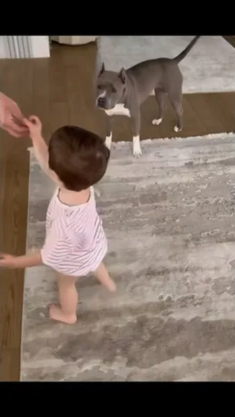 Нажми и смотри