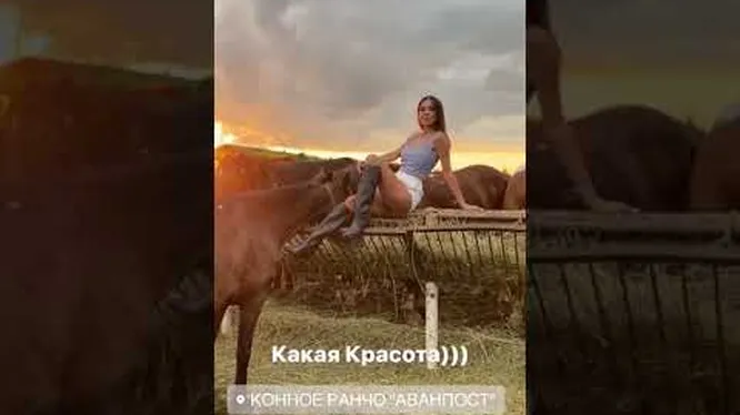 Нажми и смотри Нажми и смотри